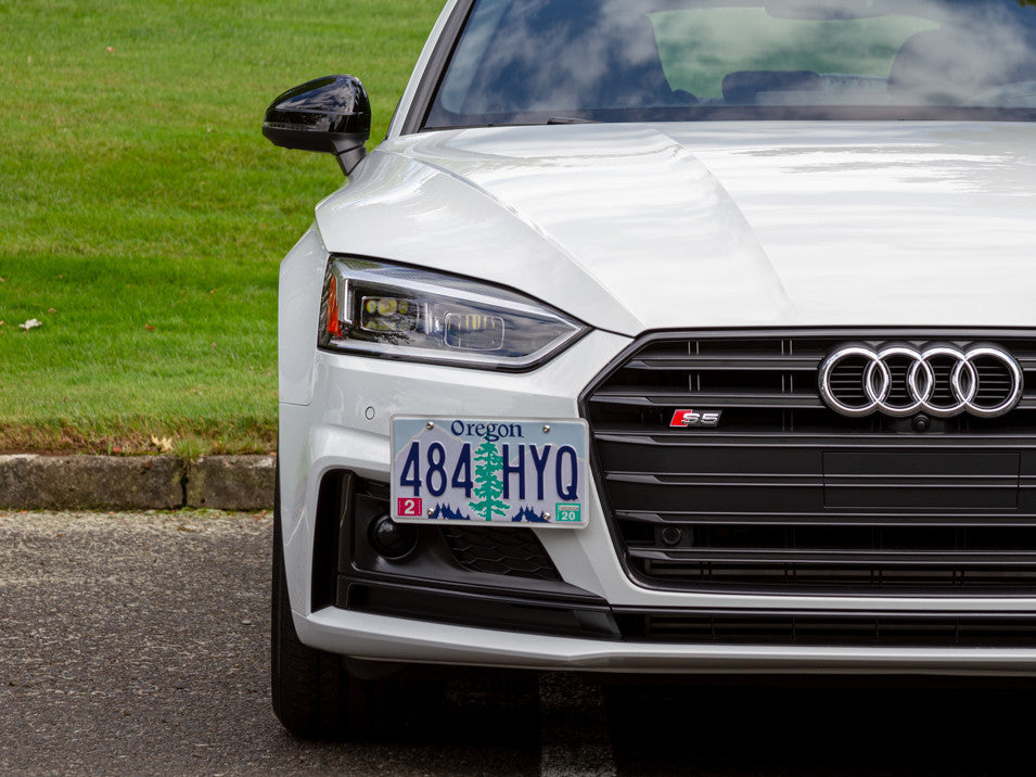 CravenSpeed Platypus License Plate Mount - Audi Models