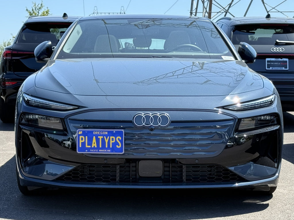 CravenSpeed Platypus License Plate Mount - Audi Models