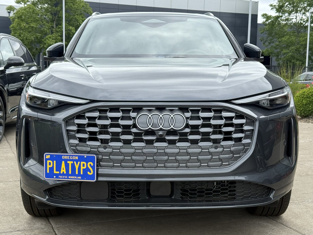 CravenSpeed Platypus License Plate Mount - Audi Models