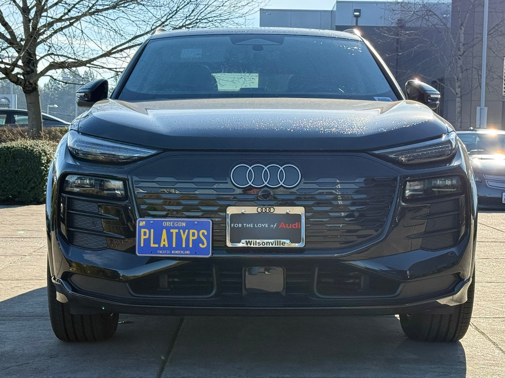 CravenSpeed Platypus License Plate Mount - Audi Models