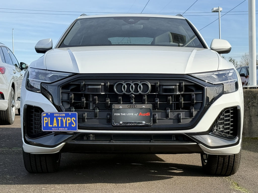 CravenSpeed Platypus License Plate Mount - Audi Models