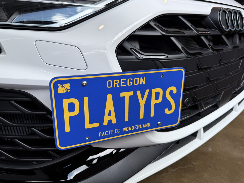 CravenSpeed Platypus License Plate Mount - Audi Models