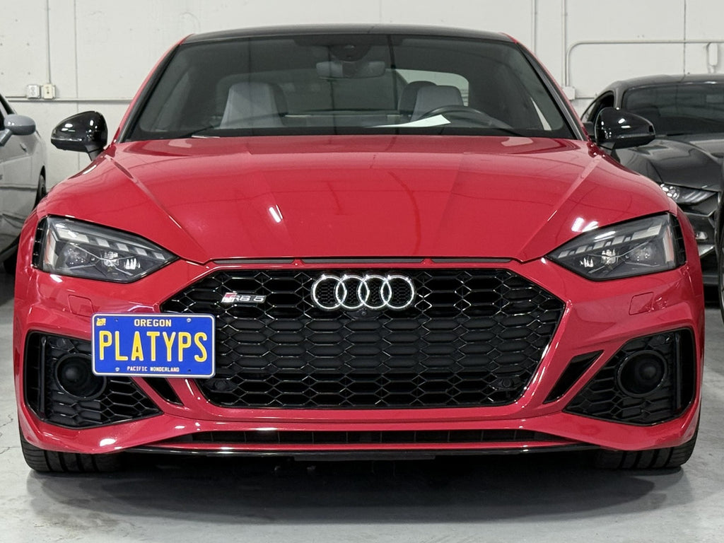CravenSpeed Platypus License Plate Mount - Audi Models