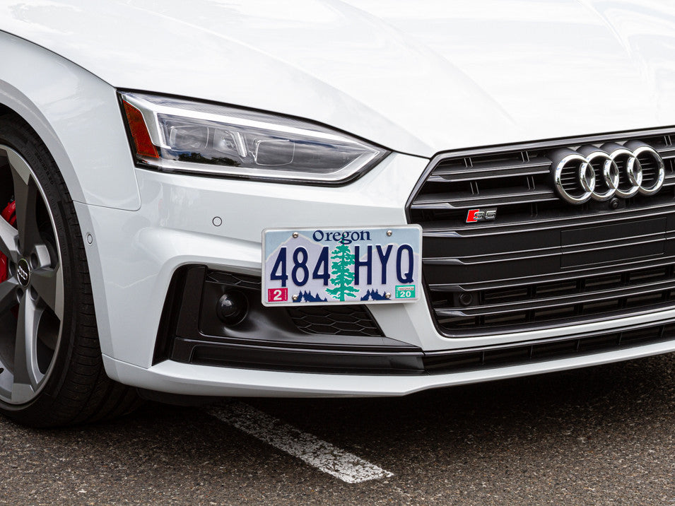 CravenSpeed Platypus License Plate Mount - Audi Models