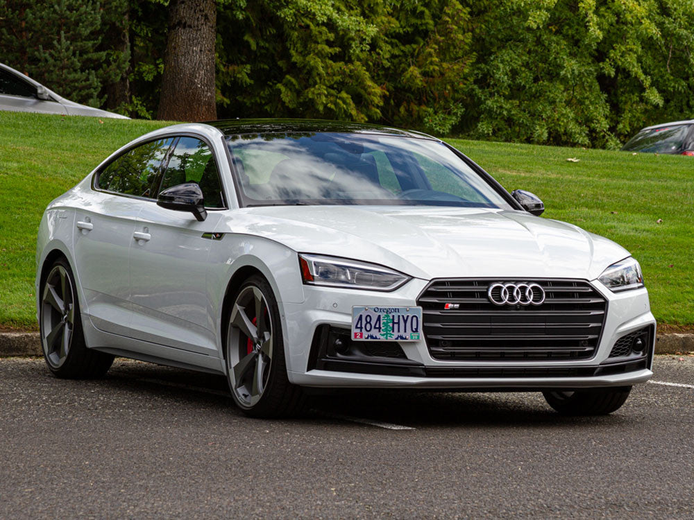 CravenSpeed Platypus License Plate Mount - Audi Models