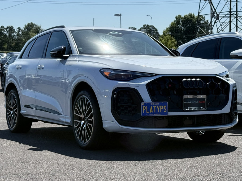 CravenSpeed Platypus License Plate Mount - Audi Models