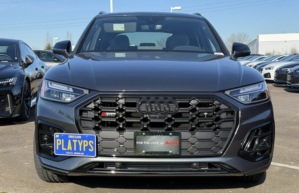 CravenSpeed Platypus License Plate Mount - Audi Models