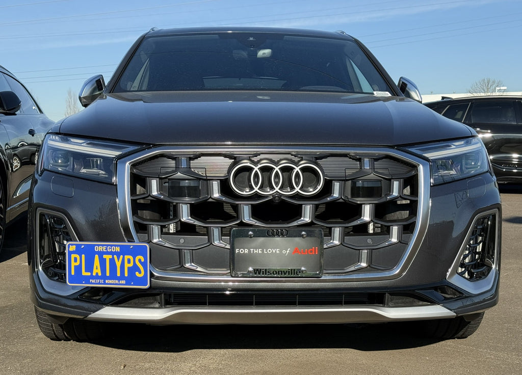 CravenSpeed Platypus License Plate Mount - Audi Models