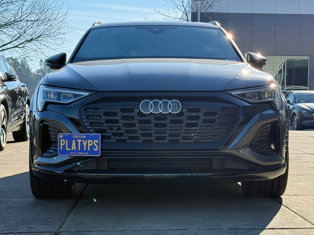 CravenSpeed Platypus License Plate Mount - Audi Models