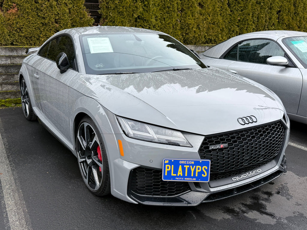 CravenSpeed Platypus License Plate Mount - Audi Models