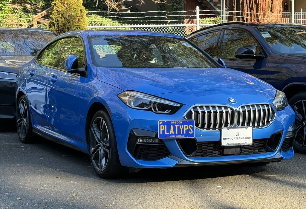 CravenSpeed Platypus License Plate Mount - BMW Models