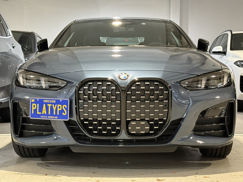 CravenSpeed Platypus License Plate Mount - BMW Models