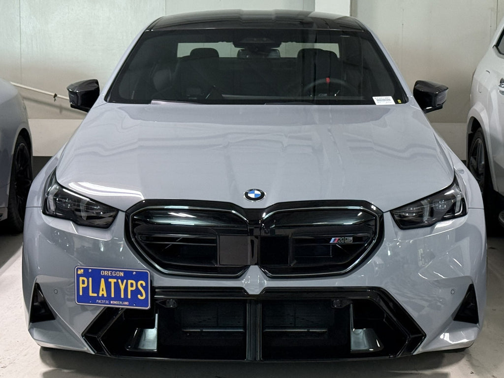 CravenSpeed Platypus License Plate Mount - BMW Models