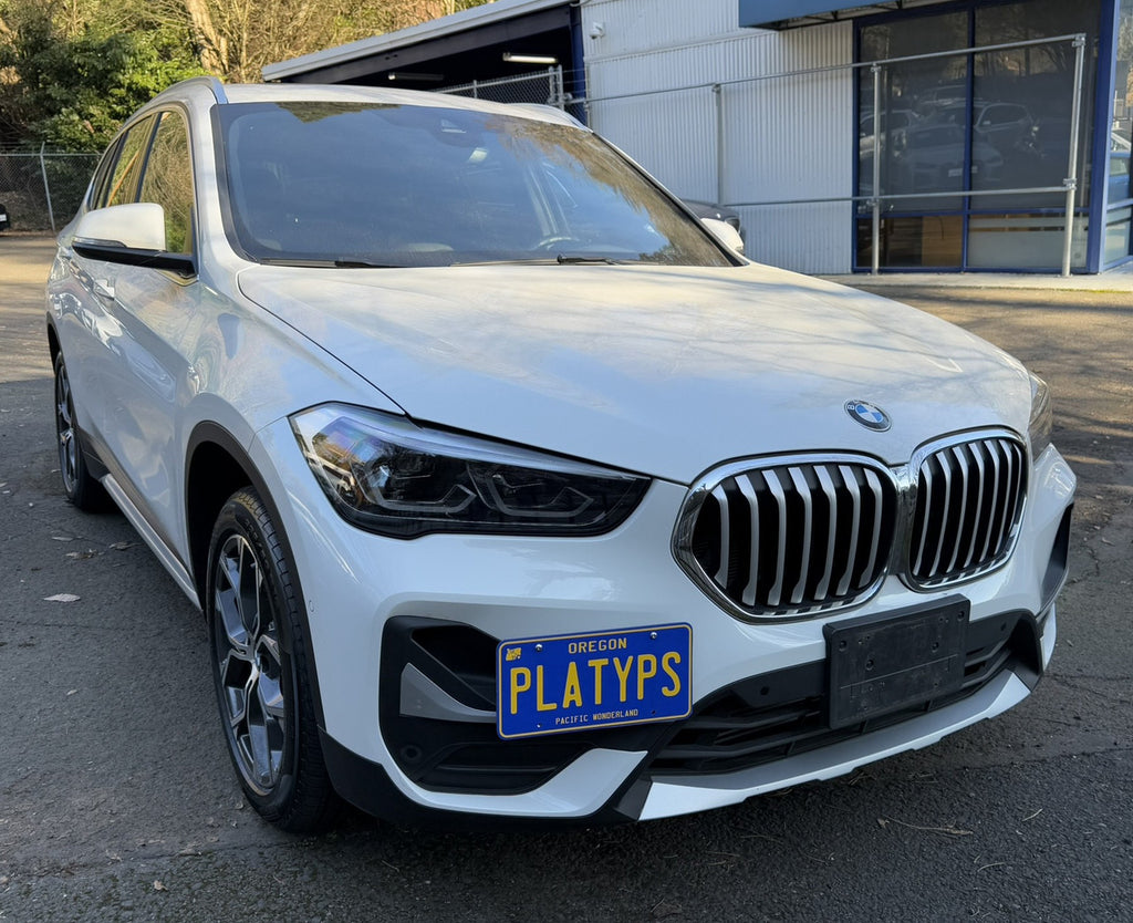 CravenSpeed Platypus License Plate Mount - BMW Models