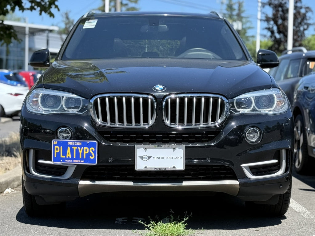 CravenSpeed Platypus License Plate Mount - BMW Models