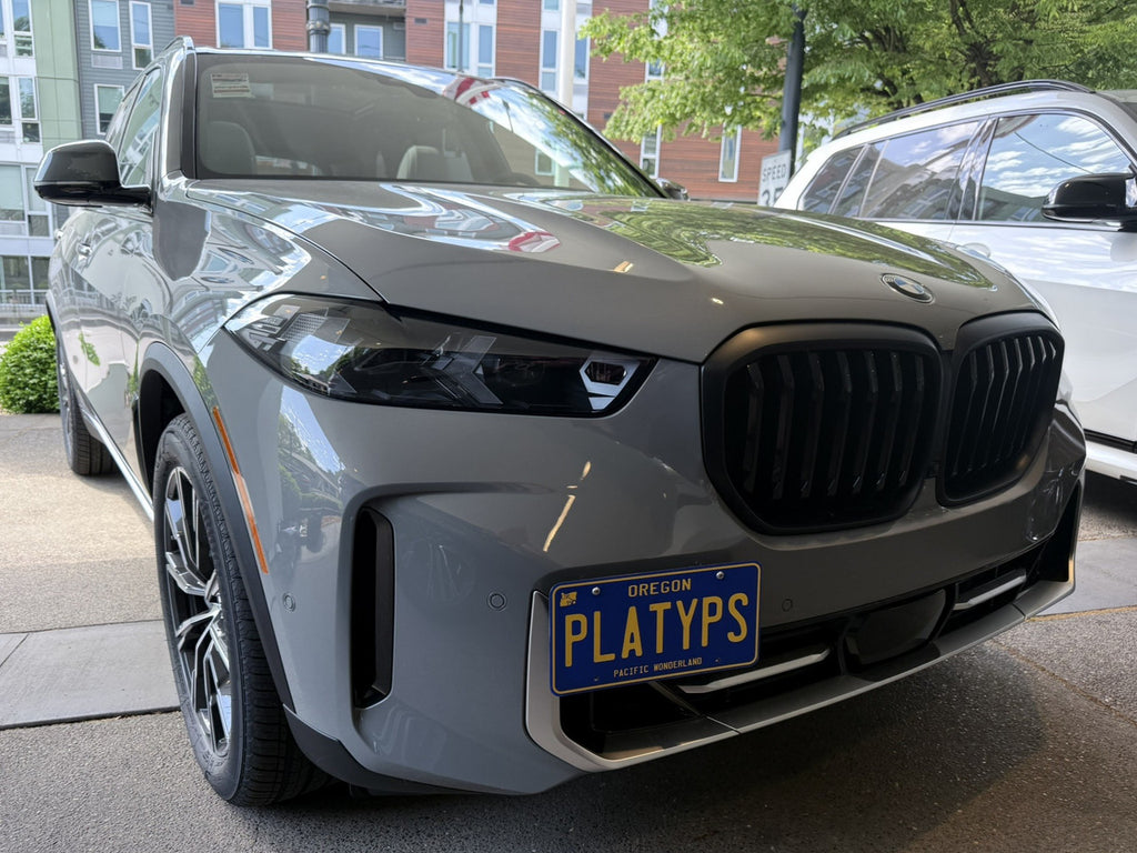 CravenSpeed Platypus License Plate Mount - BMW Models