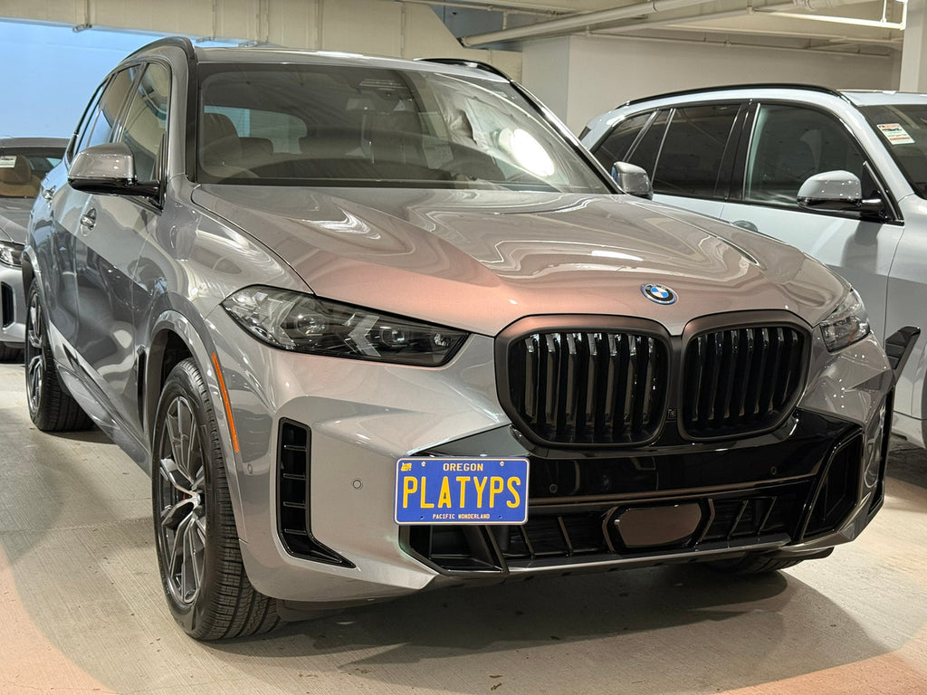 CravenSpeed Platypus License Plate Mount - BMW Models