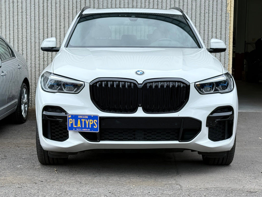 CravenSpeed Platypus License Plate Mount - BMW Models