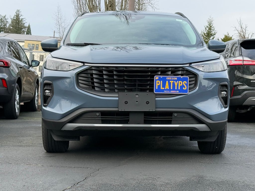 CravenSpeed Platypus License Plate Mount - Ford Models 1997-2026