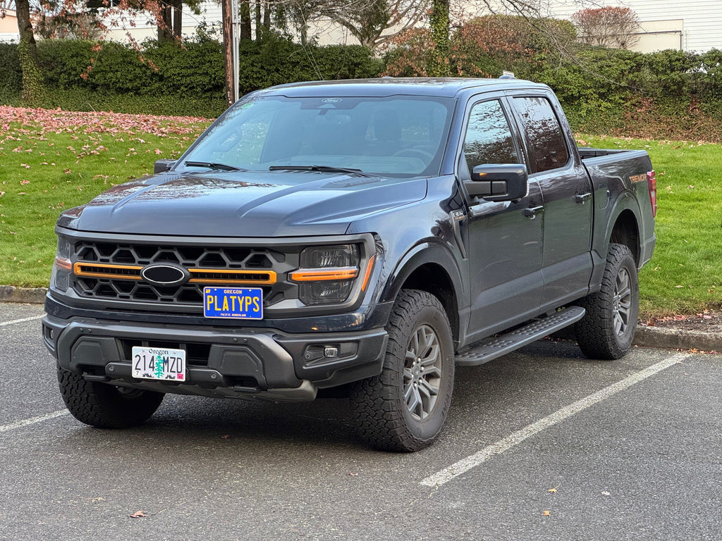 CravenSpeed Platypus License Plate Mount - Ford Models 1997-2026