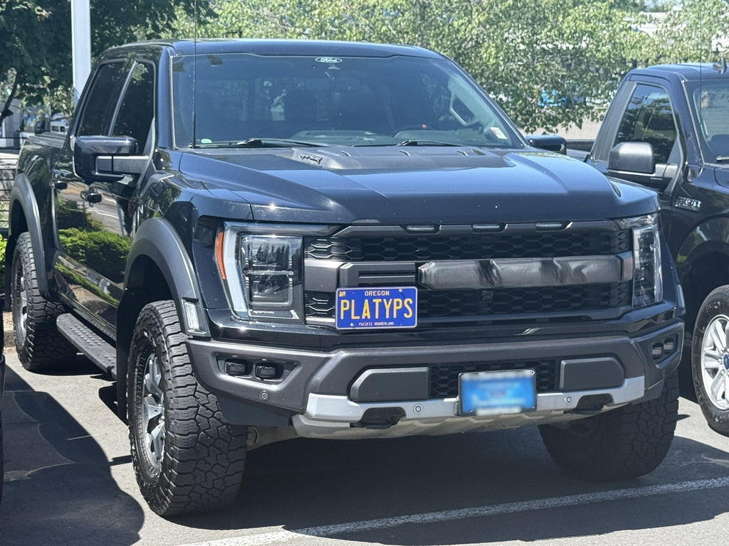 CravenSpeed Platypus License Plate Mount - Ford Models 1997-2026