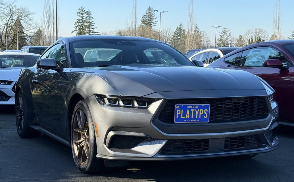 CravenSpeed Platypus License Plate Mount - Ford Models 1997-2026