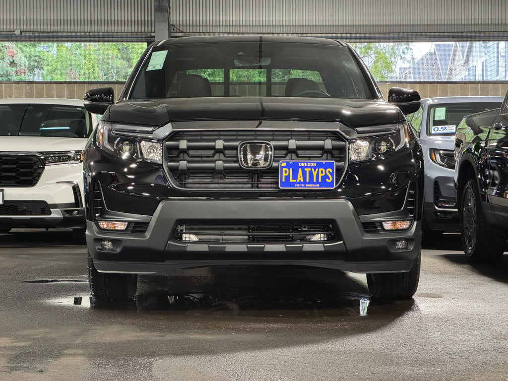 CravenSpeed Platypus License Plate Mount - Honda Models 1996-2026