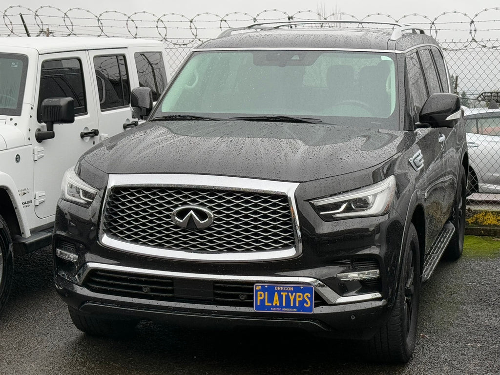 CravenSpeed Platypus License Plate Mount - Infiniti Models 1999-2025