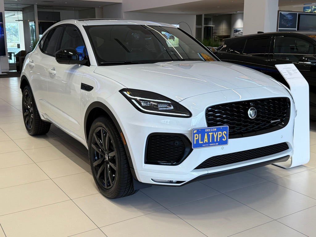 CravenSpeed Platypus License Plate Mount - Jaguar Models 1999-2025