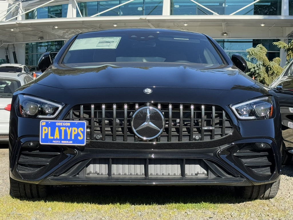 CravenSpeed Platypus License Plate Mount - Mercedes Models 1994-2026