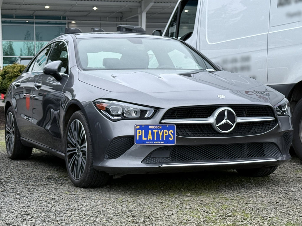 CravenSpeed Platypus License Plate Mount - Mercedes Models 1994-2026