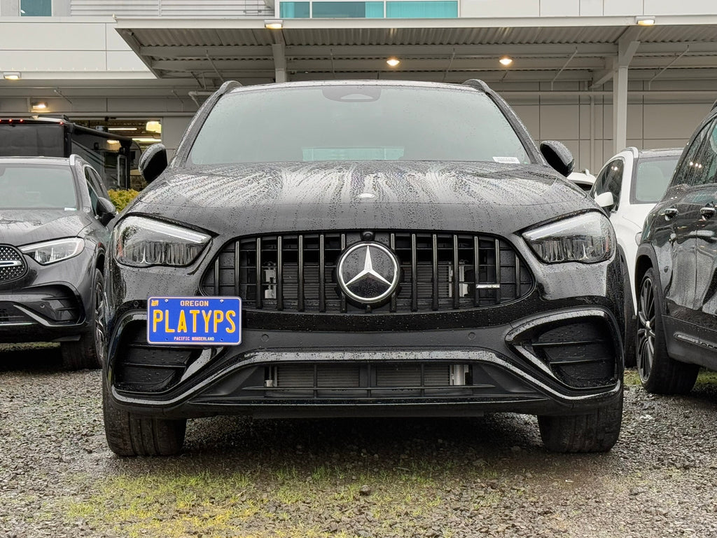 CravenSpeed Platypus License Plate Mount - Mercedes Models 1994-2026