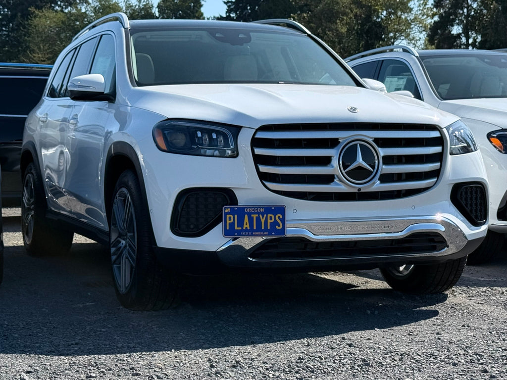 CravenSpeed Platypus License Plate Mount - Mercedes Models 1994-2026