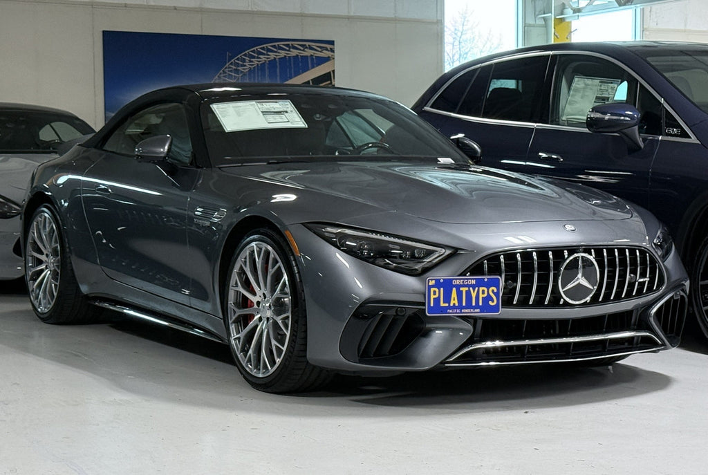 CravenSpeed Platypus License Plate Mount - Mercedes Models 1994-2026