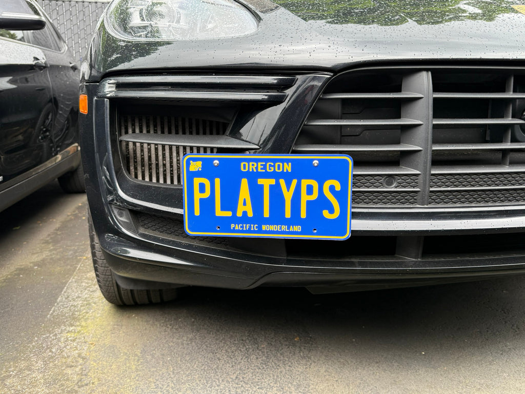 CravenSpeed Platypus License Plate Mount - Porsche Models
