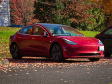 Load image into Gallery viewer, CravenSpeed Platypus License Plate Mount - Tesla Models 2017+