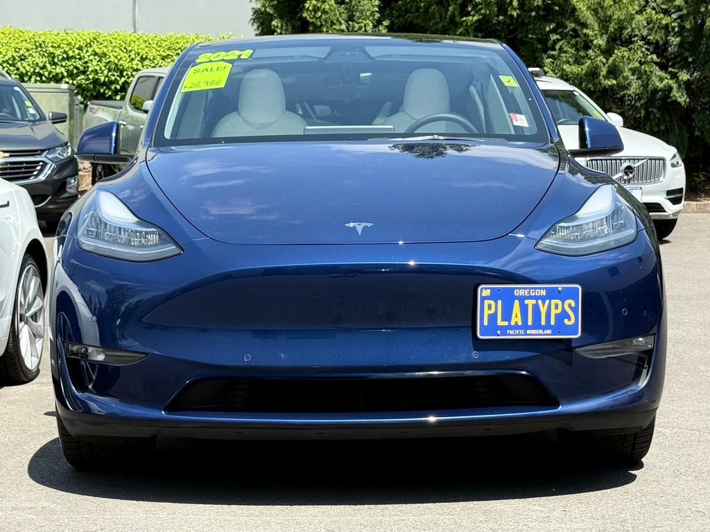 CravenSpeed Platypus License Plate Mount - Tesla Models 2017+