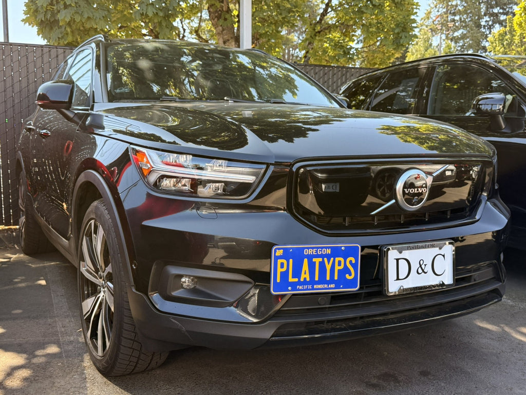 CravenSpeed Platypus License Plate Mount - Volvo Models 1998-2026