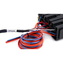 Load image into Gallery viewer, Hybrid Racing Universal K-Series Swap Conversion Wiring Harness HYB-CWH-01-99