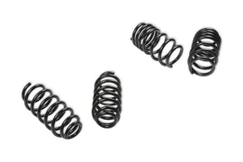 Rekudo Performance Lowering Spring Set - Tesla Model 3 (AWD) 2018-2021